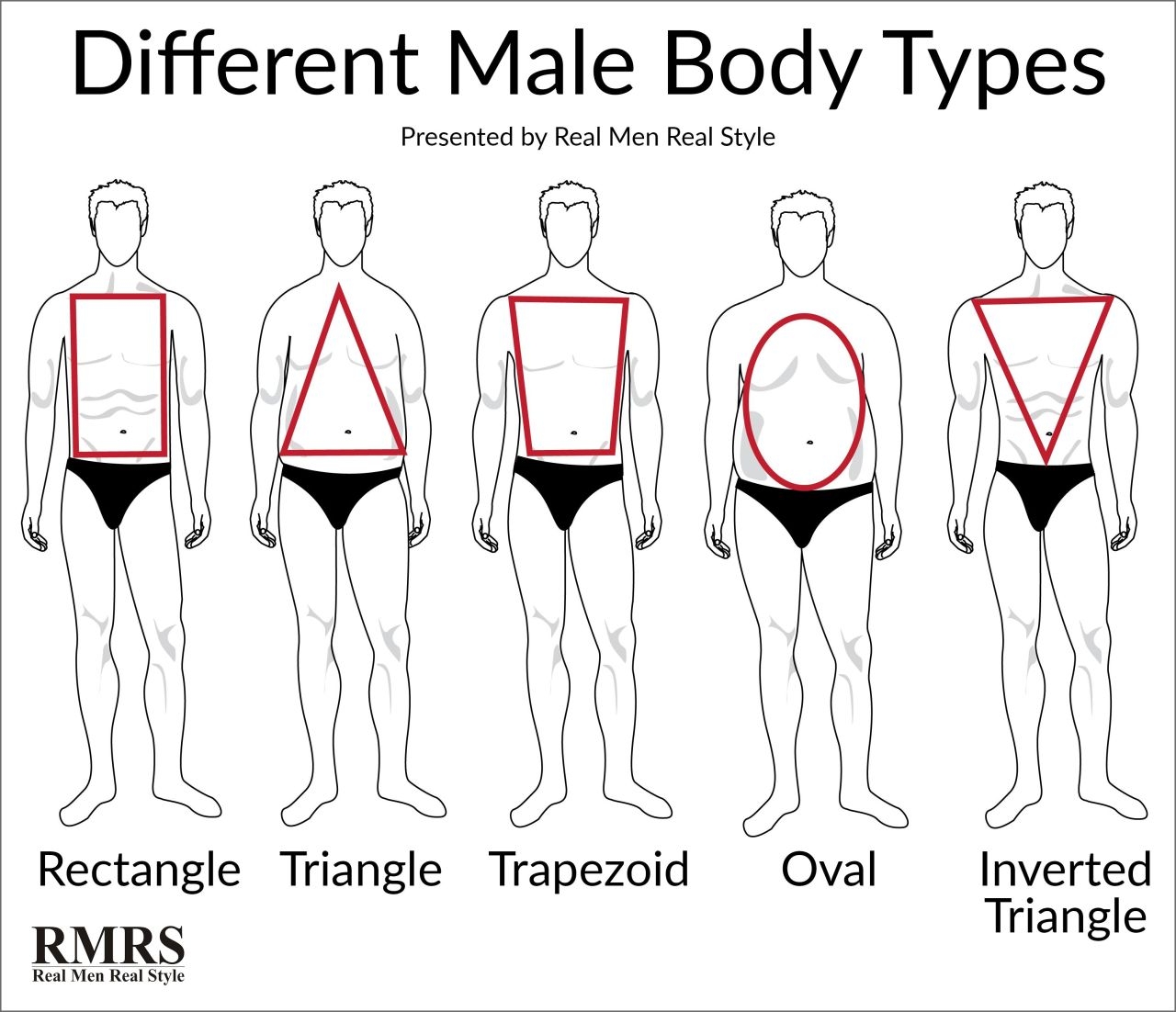 Do You Know Of Many Good Male Body Type Charts Out There The Only Ones I Can Find Or Either Jokes Or Super Exaggerated Sketches By Lexie On Tumblr