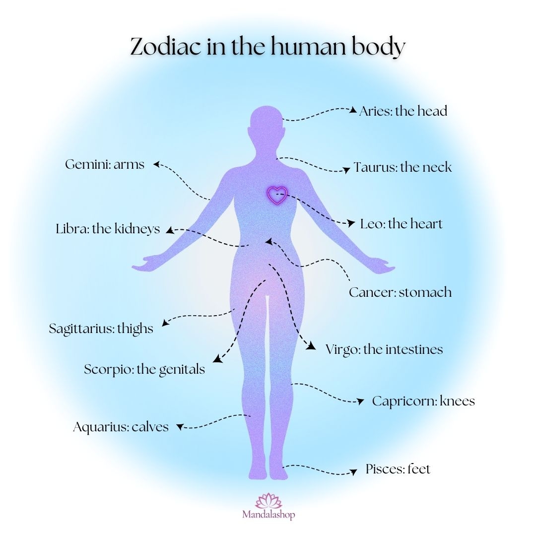Does The Astrological Chart Guide Our Destiny Does The Astrological Chart Guide Our Destiny