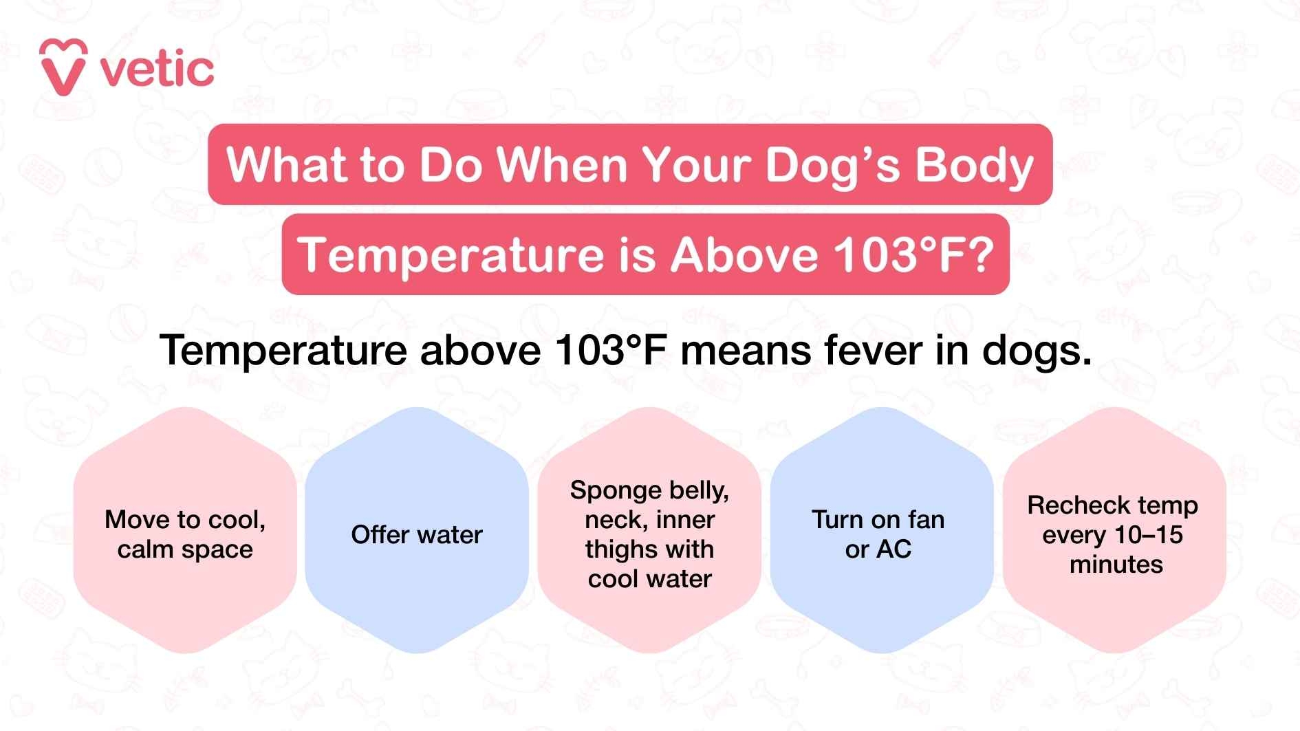 Dog Body Temperature Guide Normal Range Fever Signs Dog Body Temperature Guide Normal Range Fever Signs
