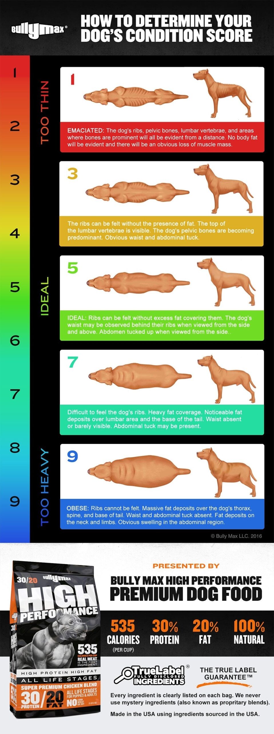 Dog Weight Chart How To Determine Your Dog S Ideal Weight Bully Max