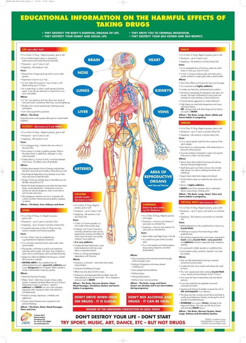 Drug Abuse Awareness Poster