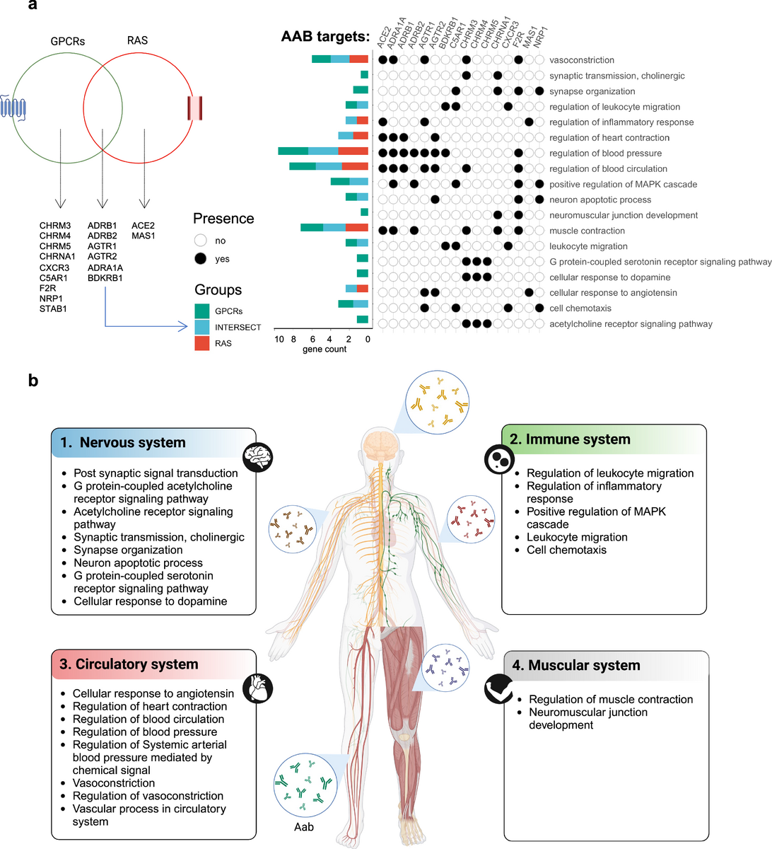 Assessing The Effects Of Prostate Cancer Therapies On Cardiovascular Health Nature Reviews Urology