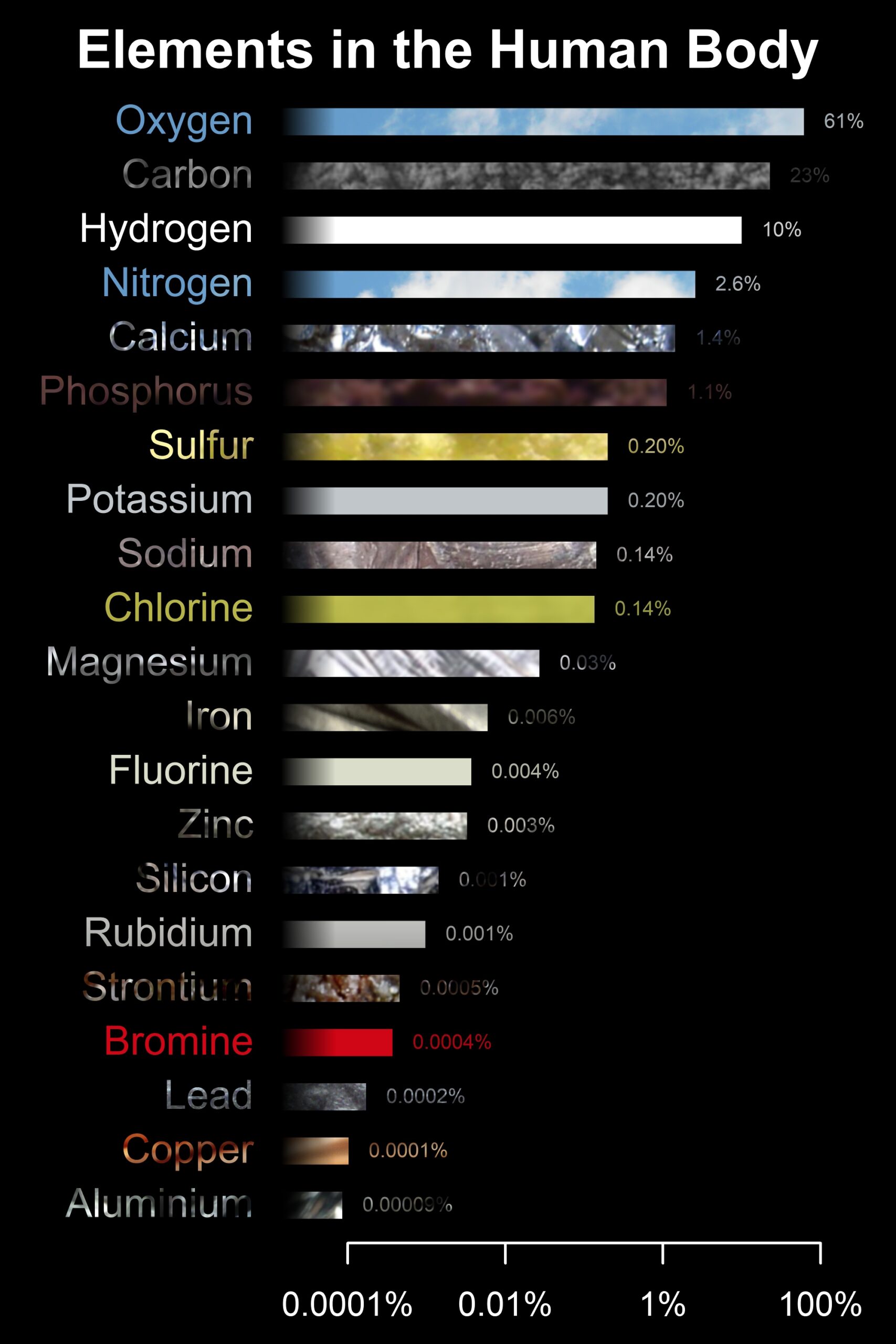 Elements In The Human Body Scientific Gems
