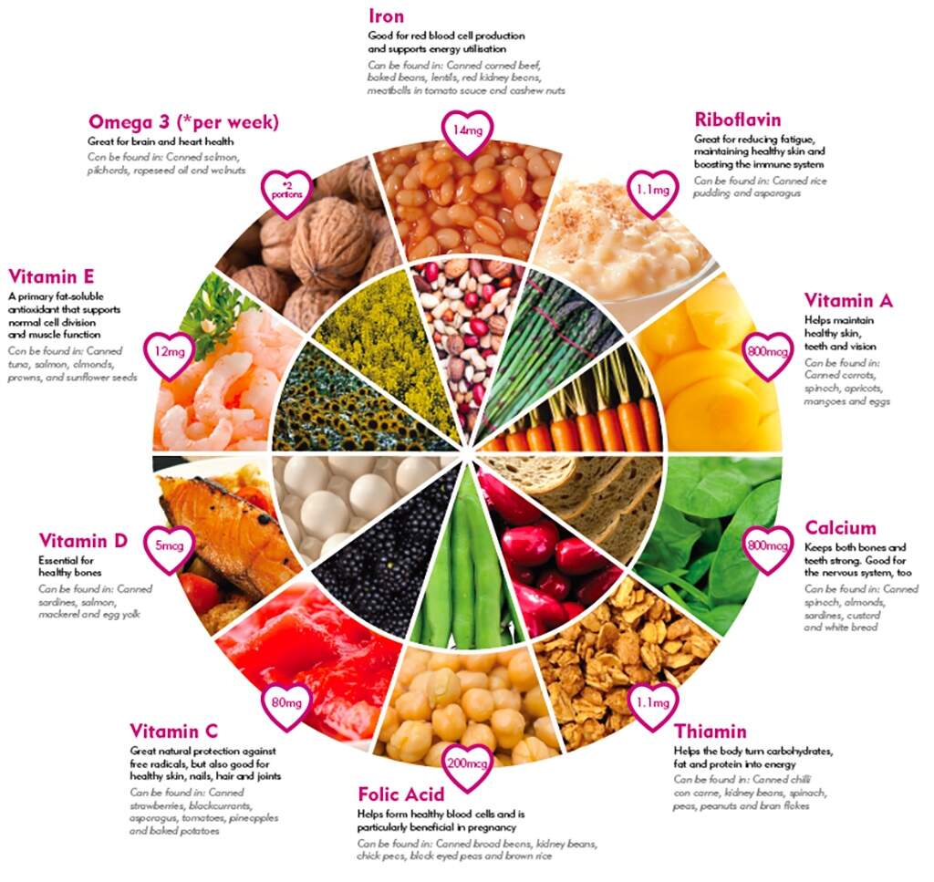 Everyday Nutrition Canned Food UK