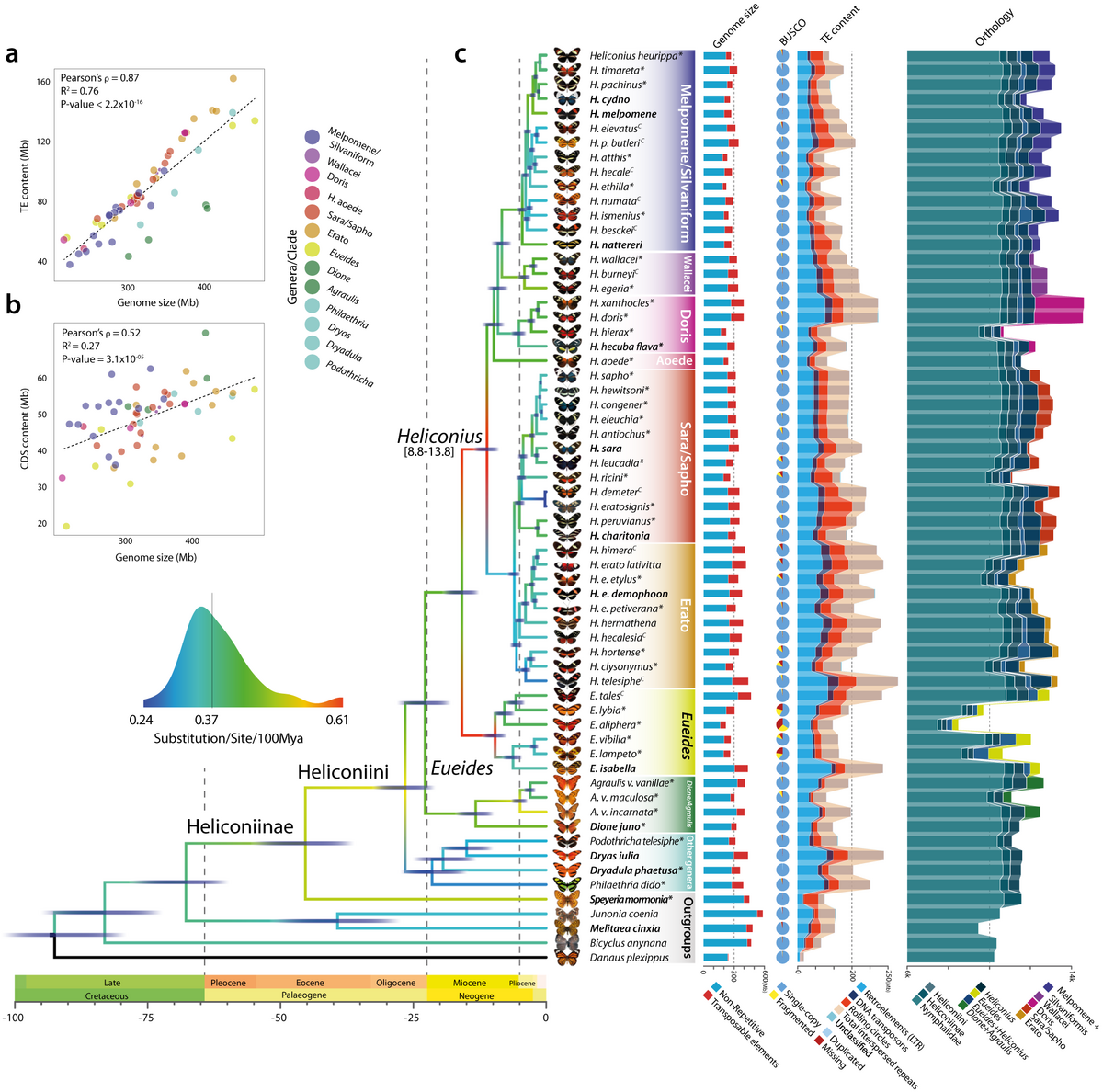 Evolutionary Dynamics Of Genome Size And Content During The Adaptive Radiation Of Heliconiini Butterflies Nature Communications