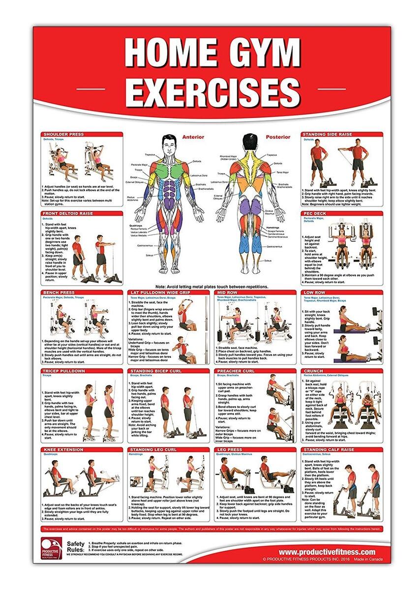 Exercise Chart Gold 039 S Gym Xrs 50 Weight Pin Gold Gym Xrs 20 Home Gym Icon Fitness Gold S Gym XRS 50 Total