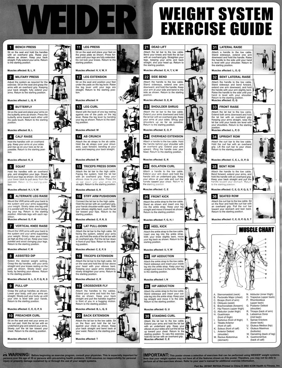 Exercise Chart Pdf Weider Ultimate Body Work Exercise Machine Weider Total Bodyworks 5000 Exercise Chart Weider Total Body