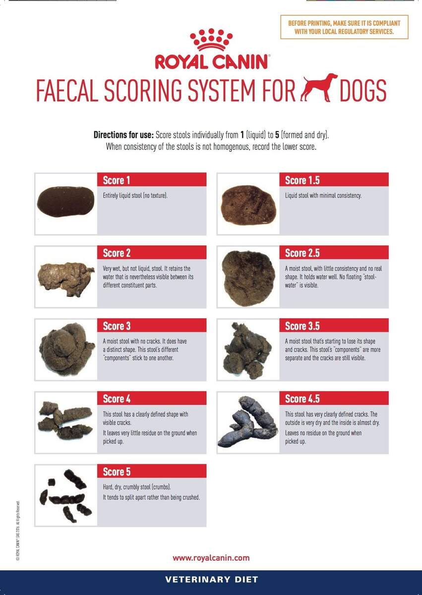 Fecal Condition Scoring Resource Center AZA Nutrition Advisory Group