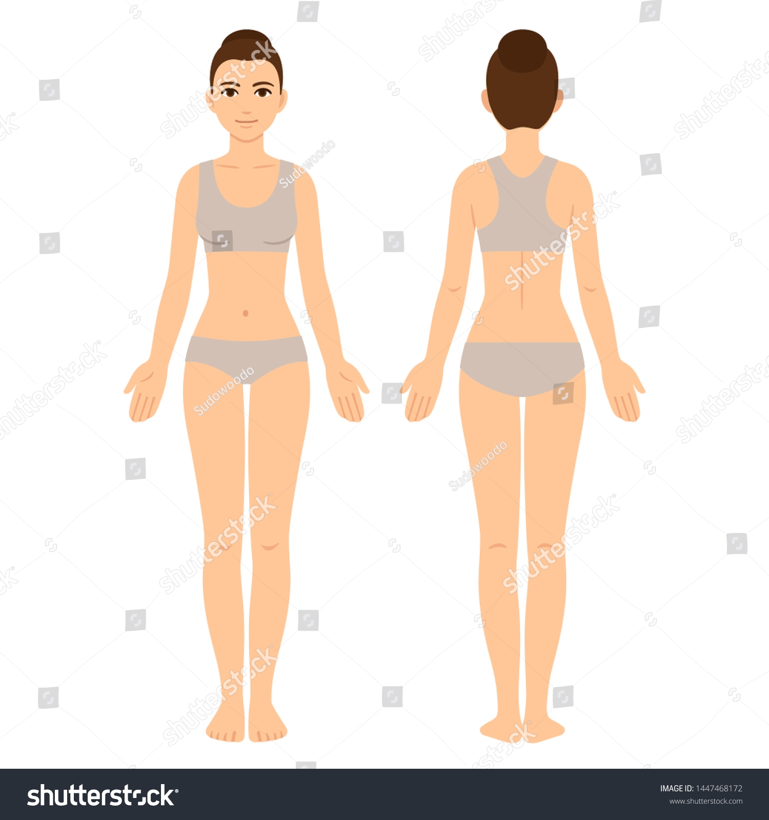 Female Body Chart Front Back View Stock Vector Royalty Free 1447468172 Shutterstock Female Body Measurement Chart Royalty Free Vector VectorStock
