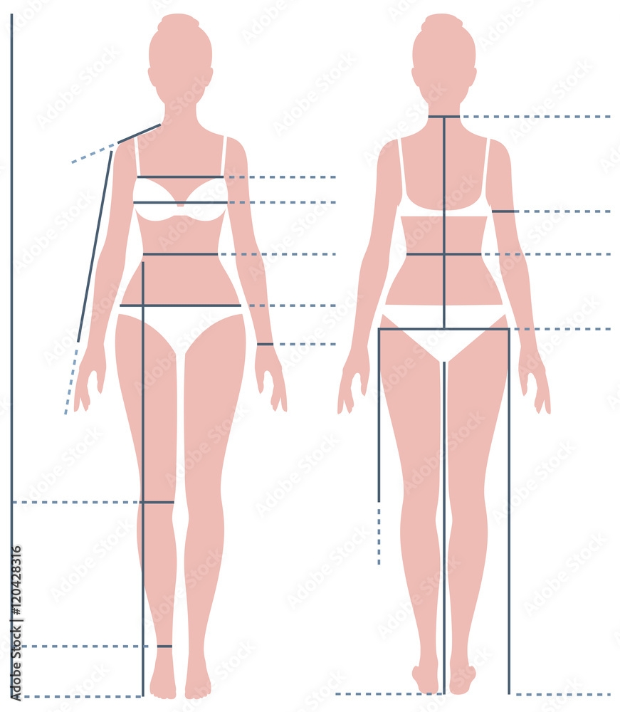 Female Body In Full Length For Measuring The Size Of The Figure Stock Vector Adobe Stock