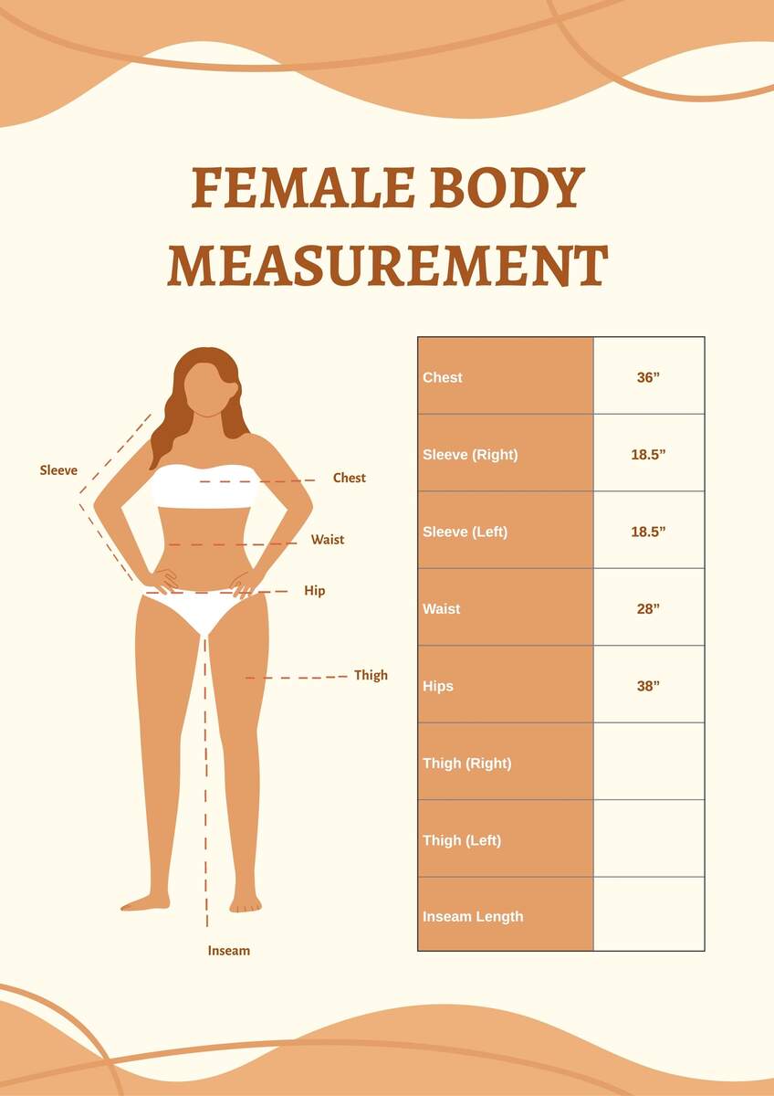 Female Body Measurement Chart In Illustrator PDF Download Template Female Body Measurement Chart In Illustrator PDF Download Template