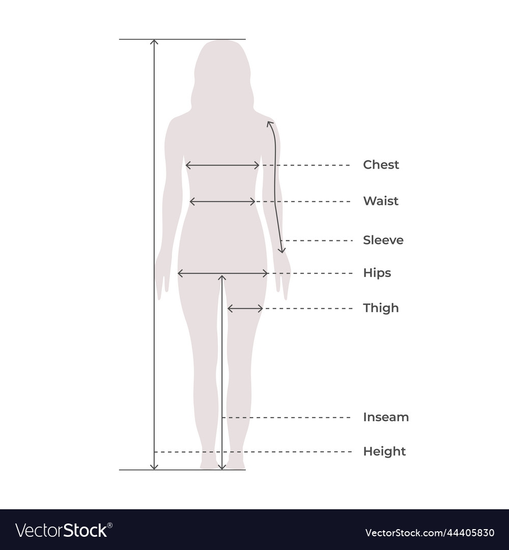 Female Body Measurement Chart Royalty Free Vector VectorStock Female Body Measurement Chart Royalty Free Vector VectorStock