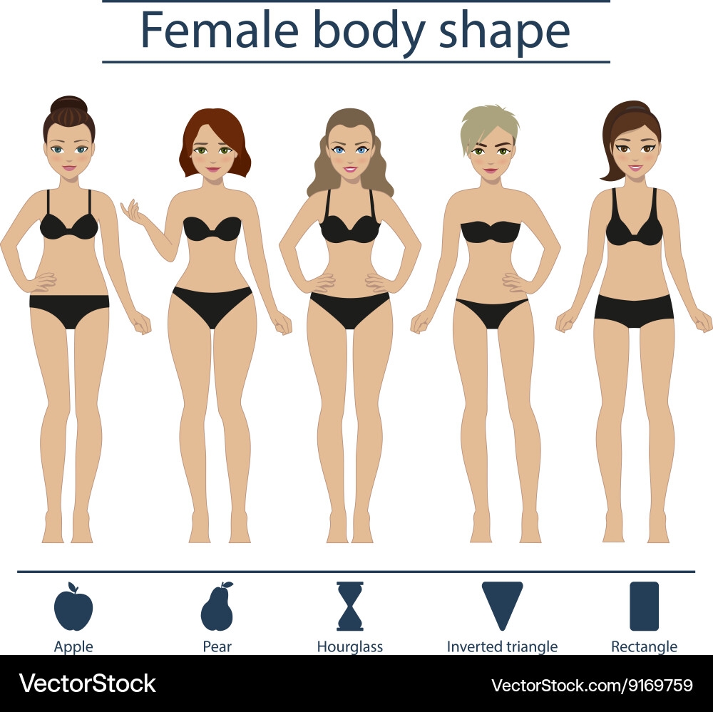 Female Body Shape Chart Royalty Free Vector VectorStock