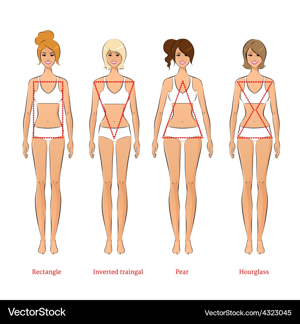 Female Body Shape Chart Royalty Free Vector VectorStock