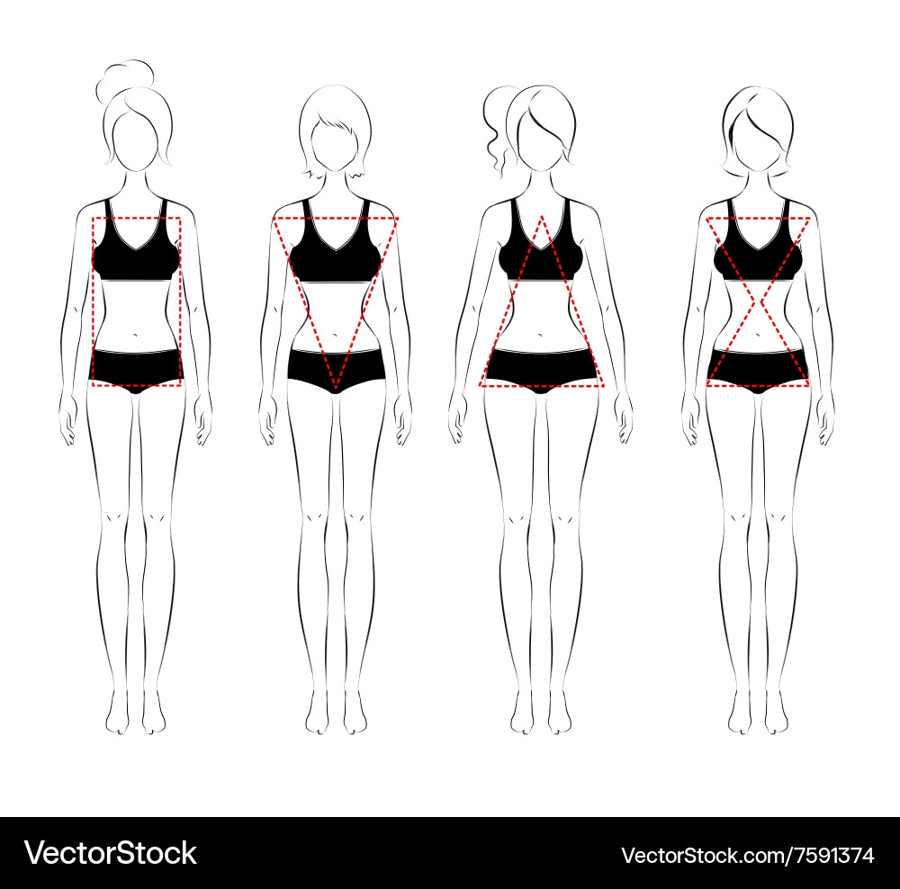 Female Body Shape Chart Royalty Free Vector VectorStock