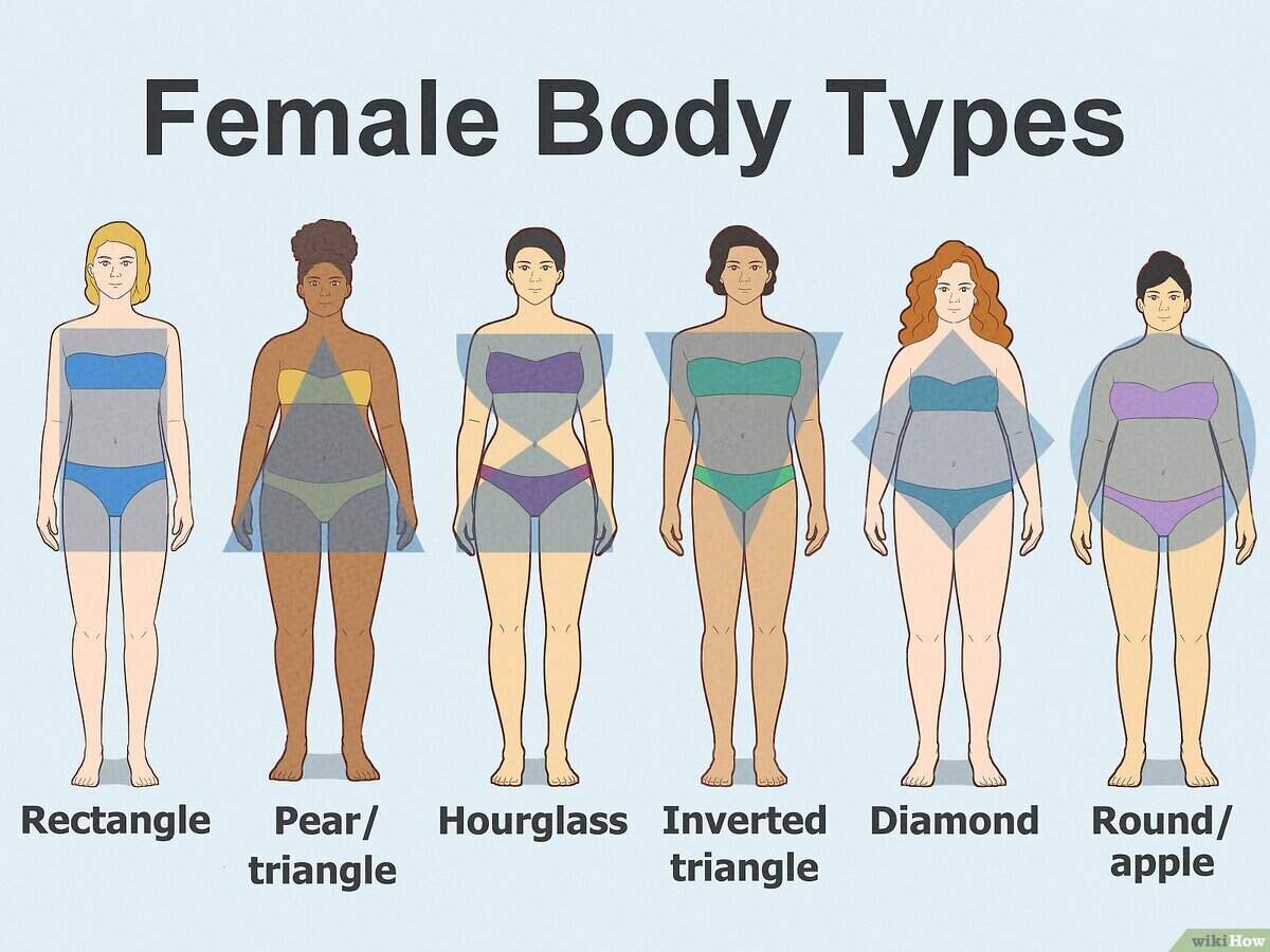 Female Body Types Chart A Guide To Finding Your Shape