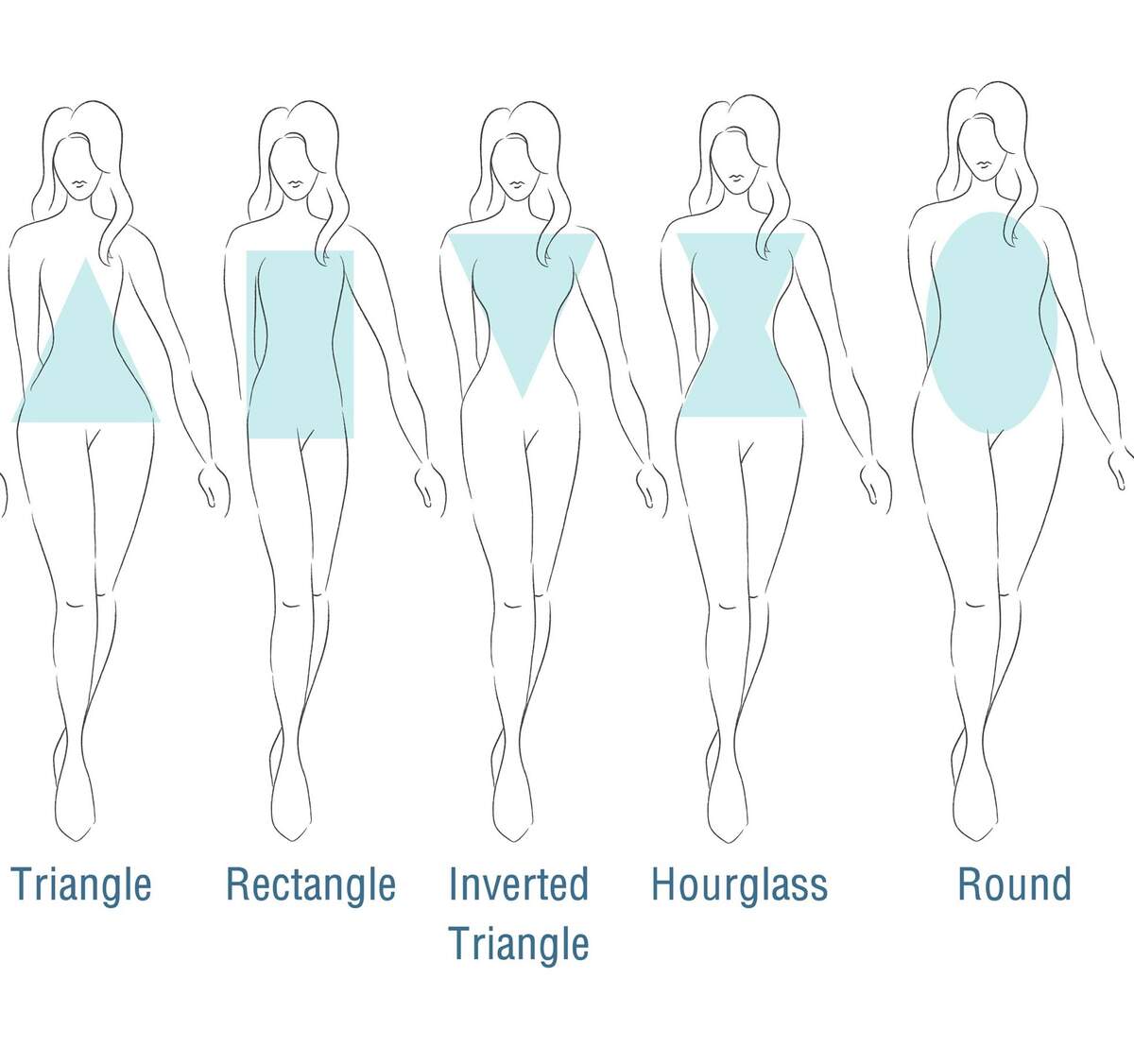 Female Body Types Chart Health Chart Tracking
