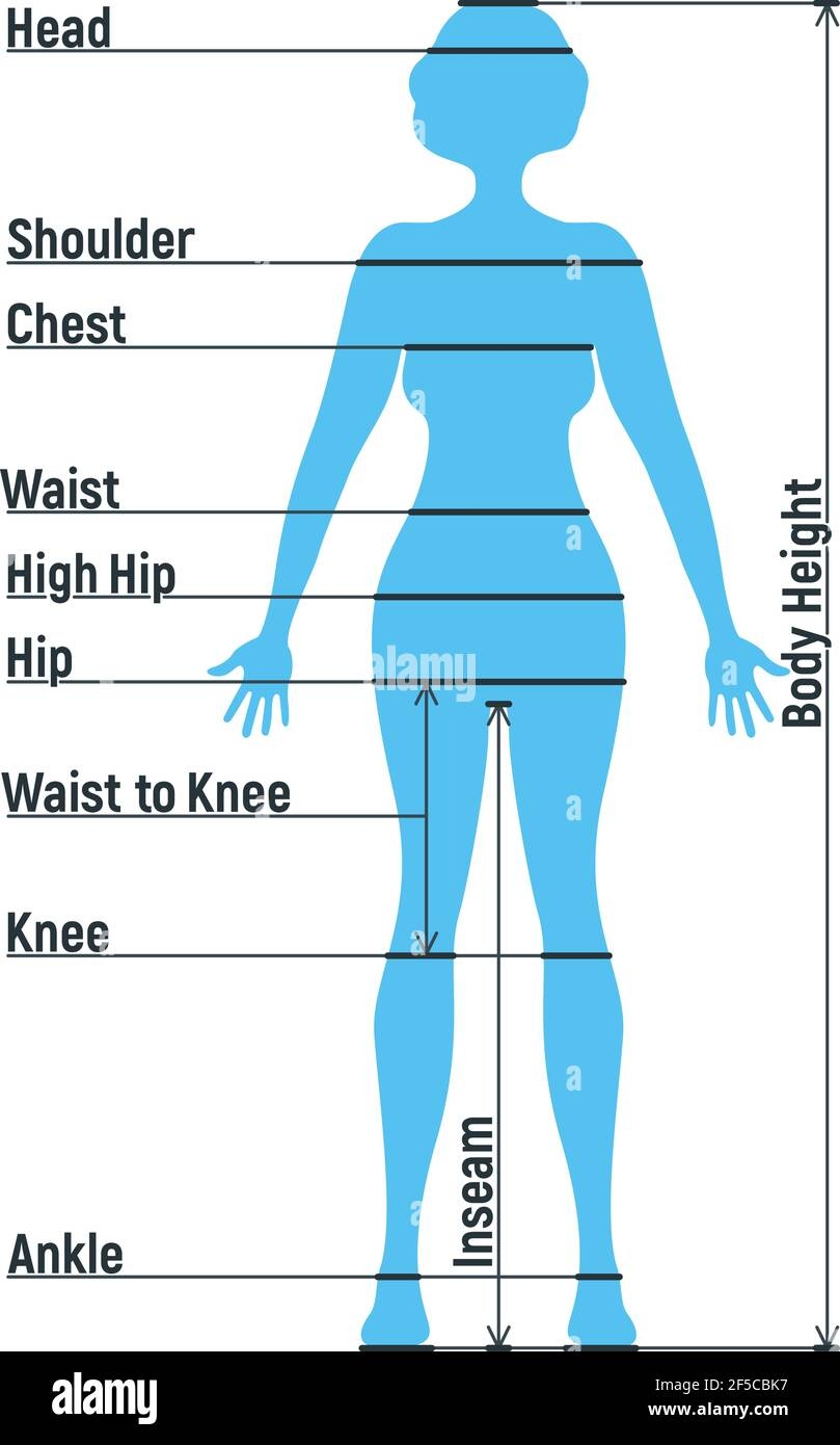 Female Size Chart Anatomy Human Character People Dummy Front And View Side Body Silhouette Isolated On White Flat Vector Illustration Cartoon Woma Stock Vector Image Art Alamy Female Size Chart Anatomy Human Character People Dummy Front And View Side Body Silhouette Isolated On White Flat Vector Illustration Cartoon Woma Stock Vector Image Art Alamy