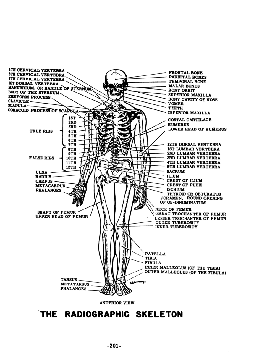 Xray Technique Card Xray Mas And Kvp Chart Radiology Technique Chart Xray Study Guide Xray Tech Gift Xray Student Gift Etsy