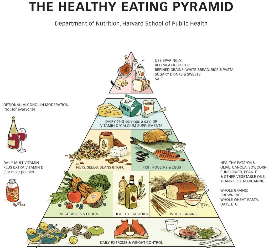 Food Nutrition And Balanced Eating Study Guide Inspirit