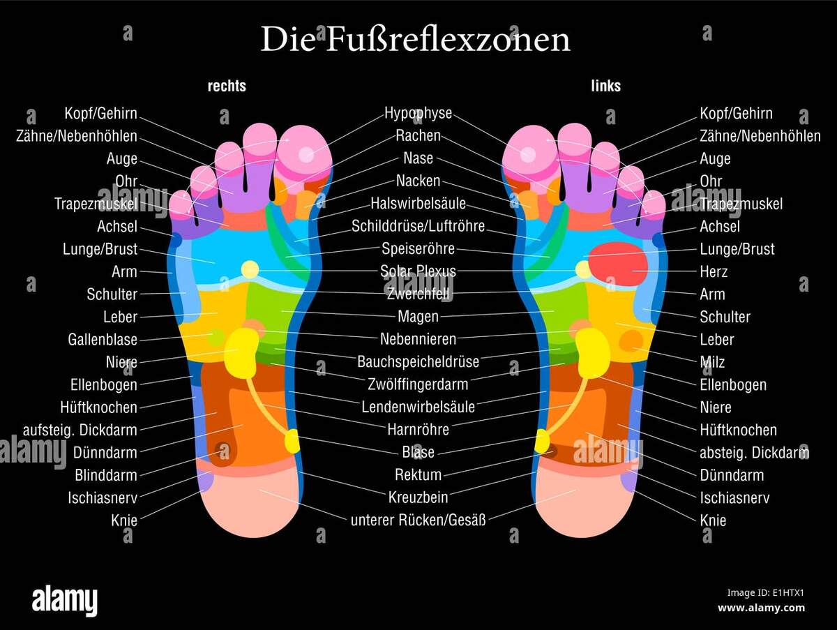 Foot Reflexology Chart With Accurate Description German Labeling Of The Corresponding Internal Organs And Body Parts Stock Photo Alamy Foot Reflexology Chart With Accurate Description German Labeling Of The Corresponding Internal Organs And Body Parts Stock Photo Alamy