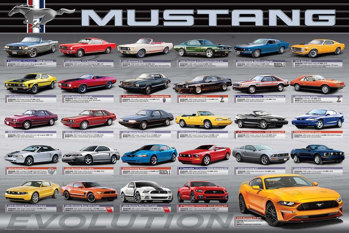 FORD MUSTANG EVOLUTION American Muscle Car History 29 Models 24x36 POSTER EBay