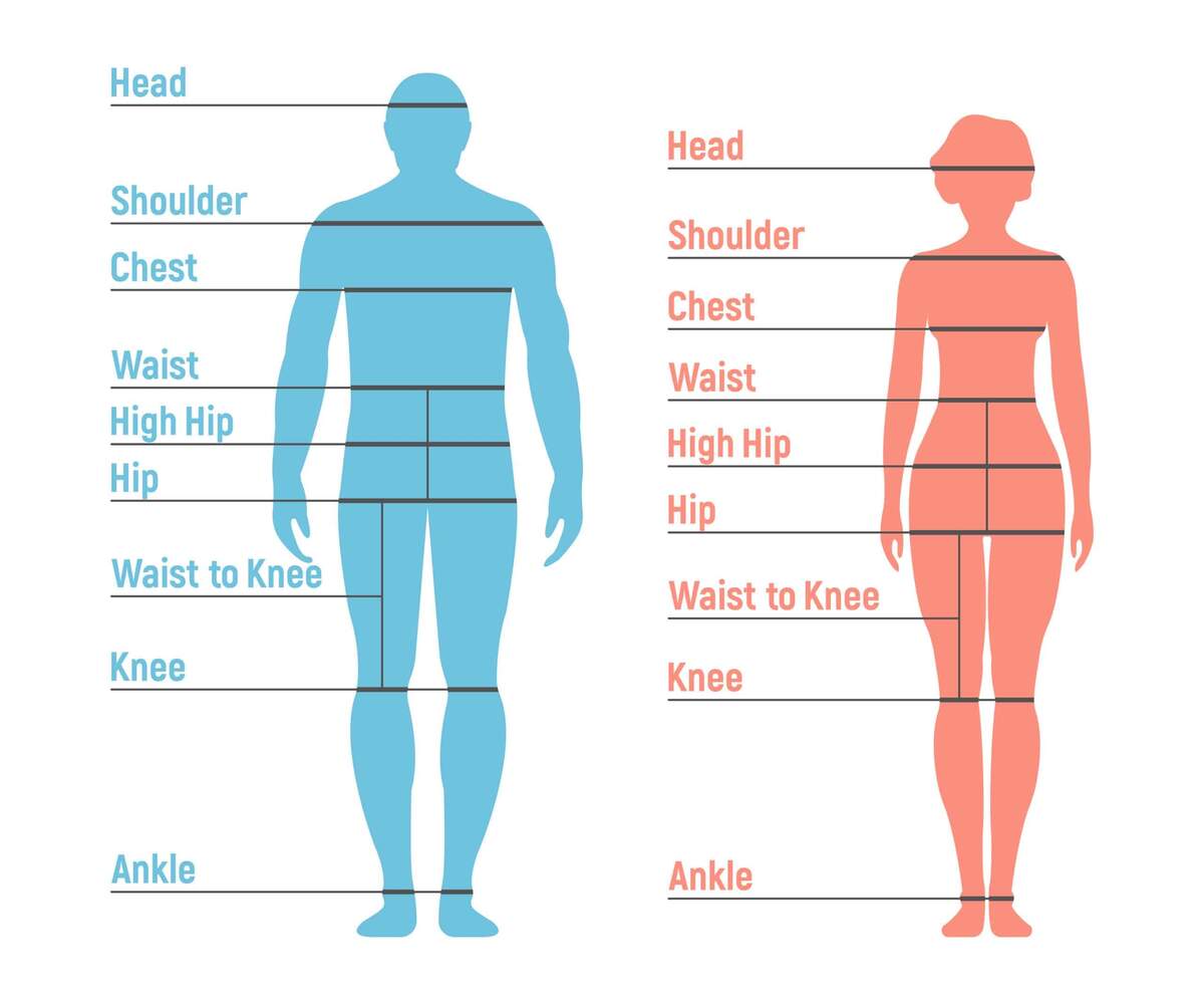 Free Body Measurement Chart Printable For Men Women