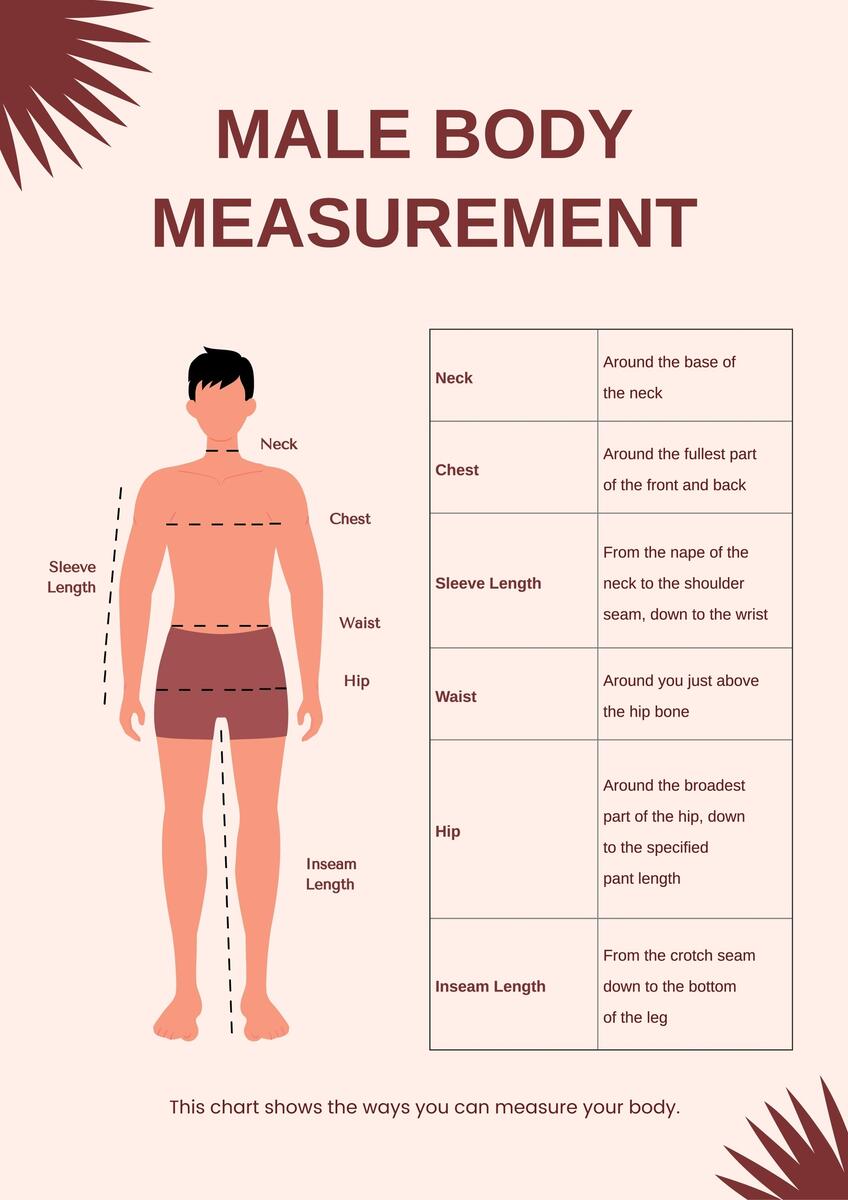 Free Body Measurement Chart Templates Editable And Printable