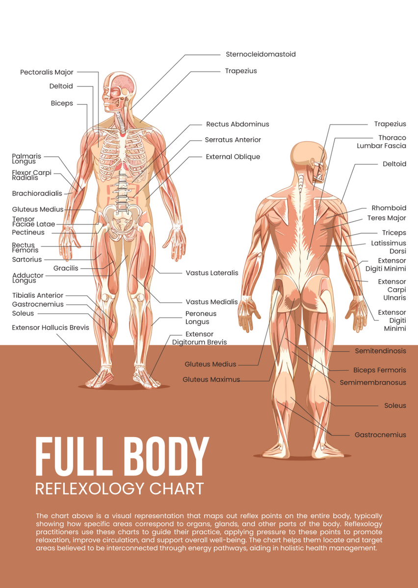 Free Full Body Reflexology Chart Template To Edit Online Free Full Body Reflexology Chart Template To Edit Online