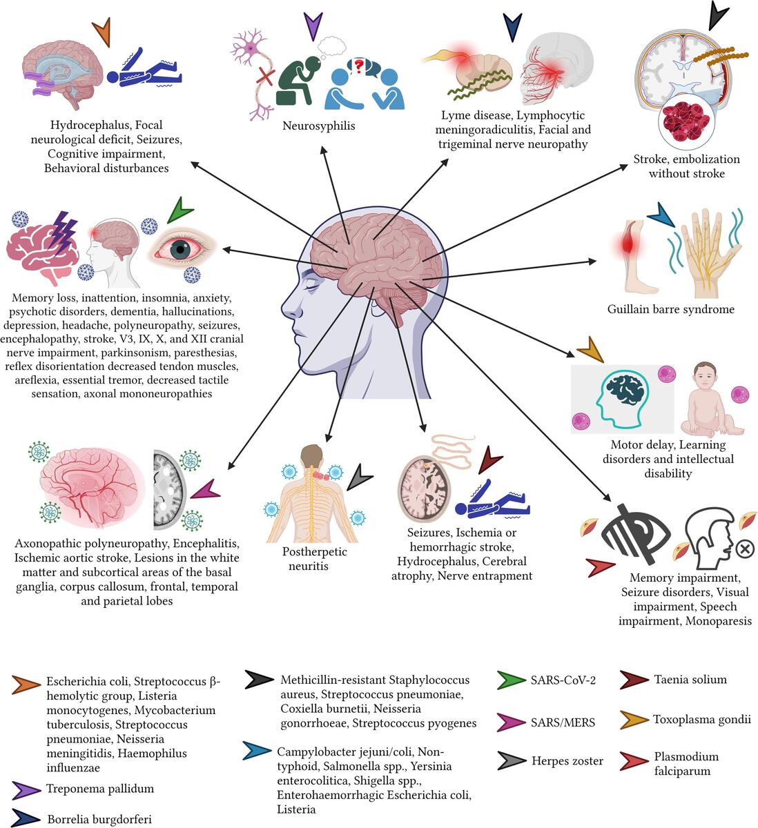 Frontiers Beyond The Acute Phase A Comprehensive Literature Review Of Long Term Sequelae Resulting From Infectious Diseases