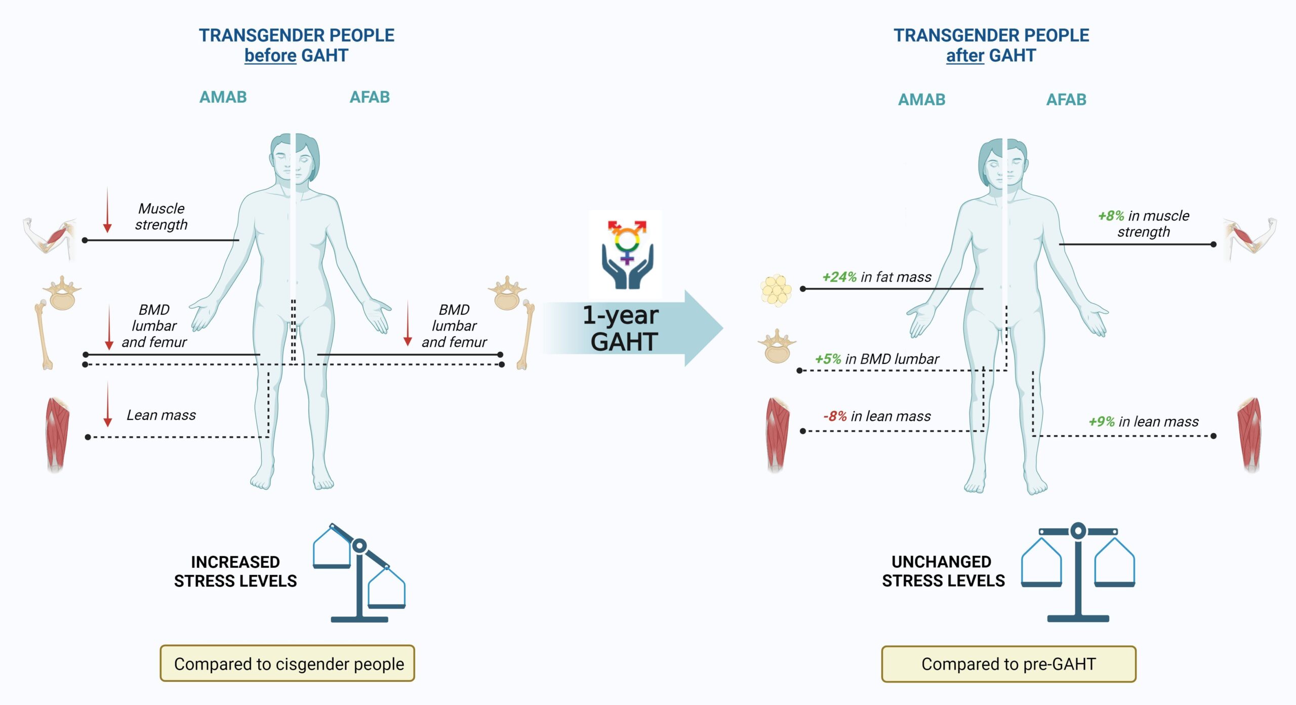 Frontiers Body Composition And Perceived Stress Levels In Transgender Individuals After One Year Of Gender Affirming Hormone Therapy