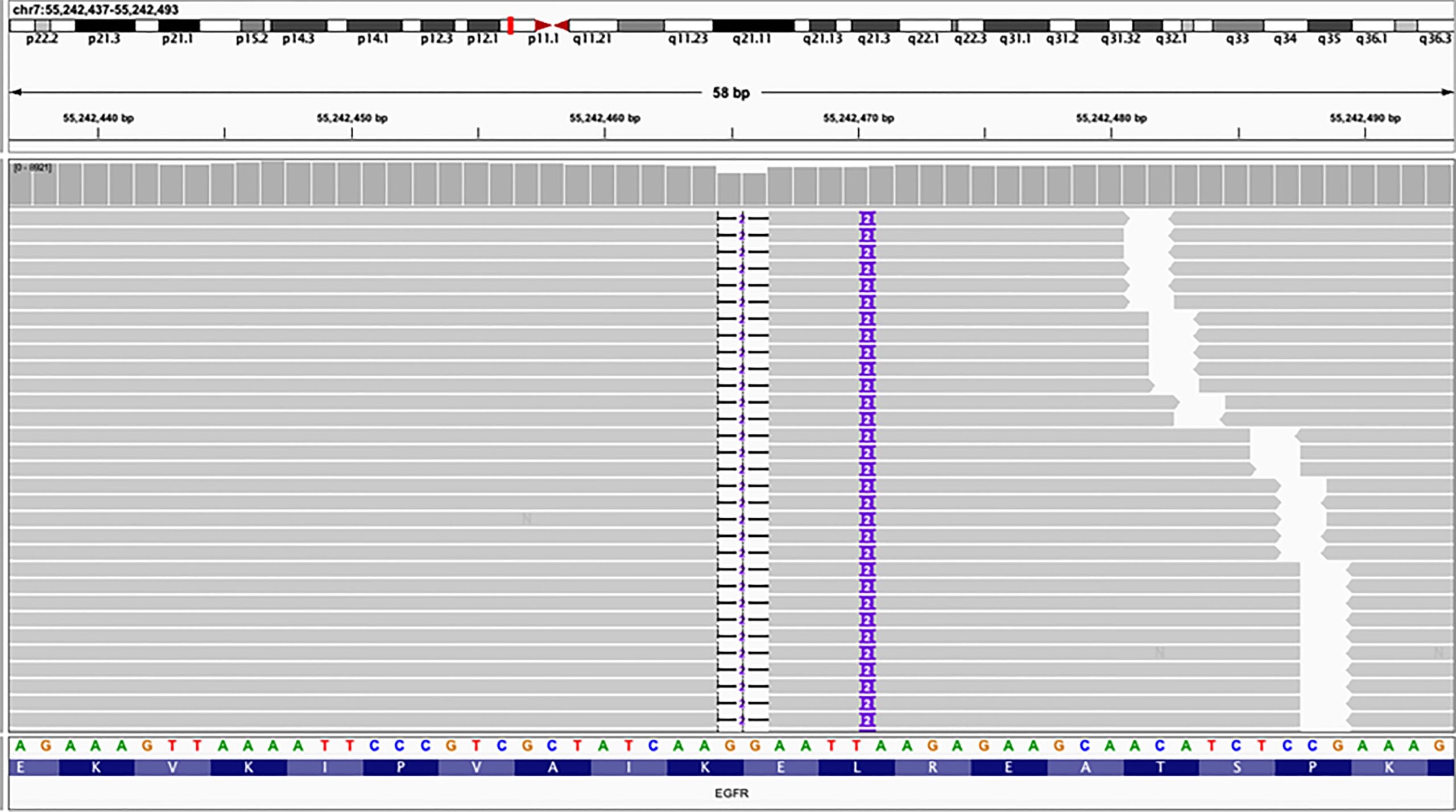 Frontiers Case Report Afatinib Sensitivity In Rare EGFR E746 L747delinsIP Mutated LUAD With Peritoneal Metastases