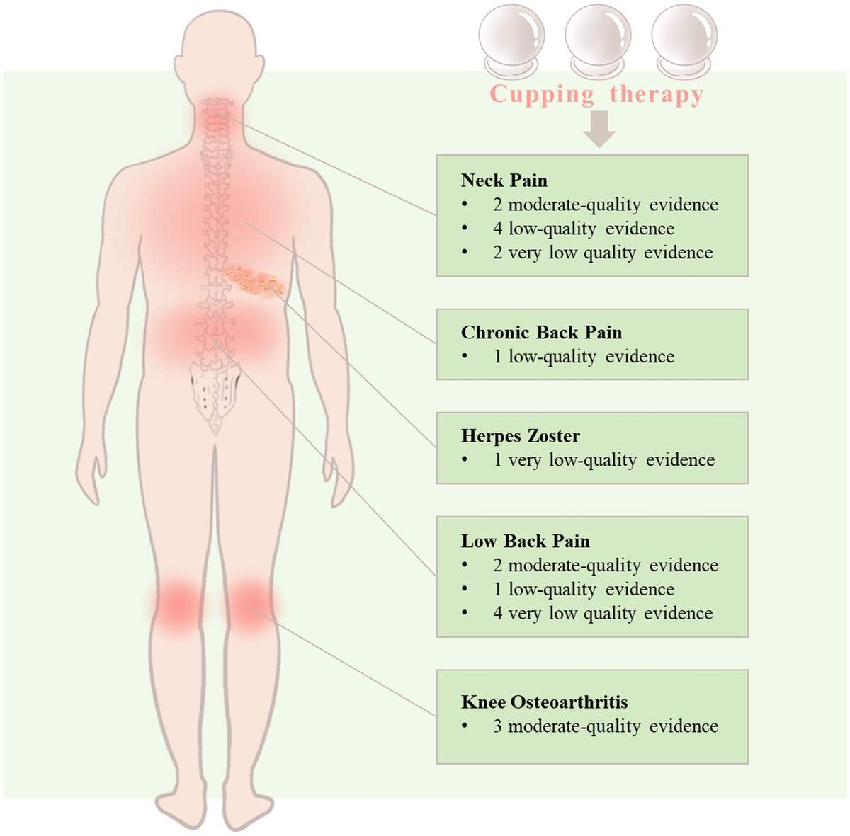 Frontiers Efficacy Of Cupping Therapy On Pain Outcomes An Evidence Mapping Study Frontiers Efficacy Of Cupping Therapy On Pain Outcomes An Evidence Mapping Study