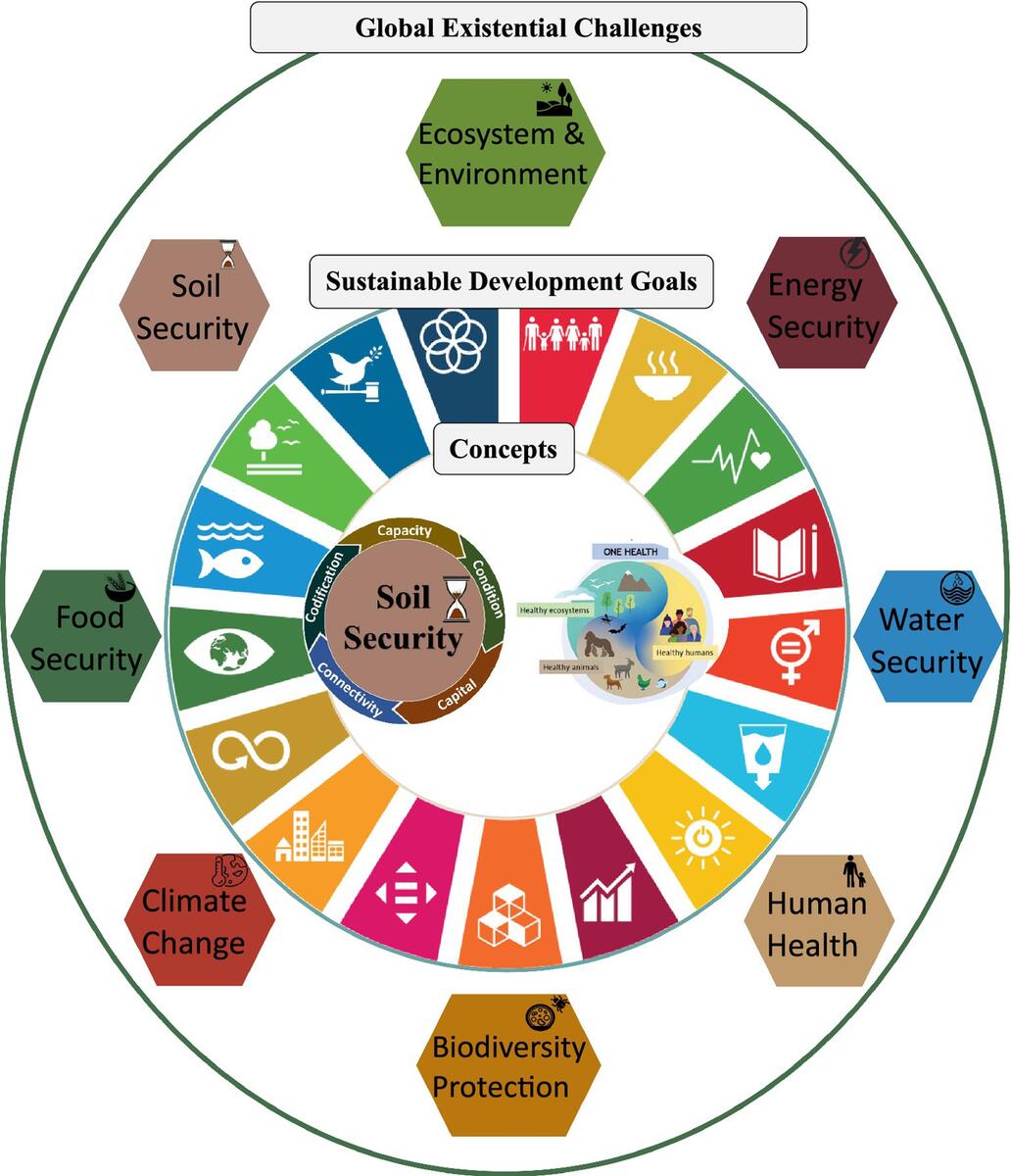 Frontiers Linkages Between Soil Security And One Health Implications For The 2030 Sustainable Development Goals