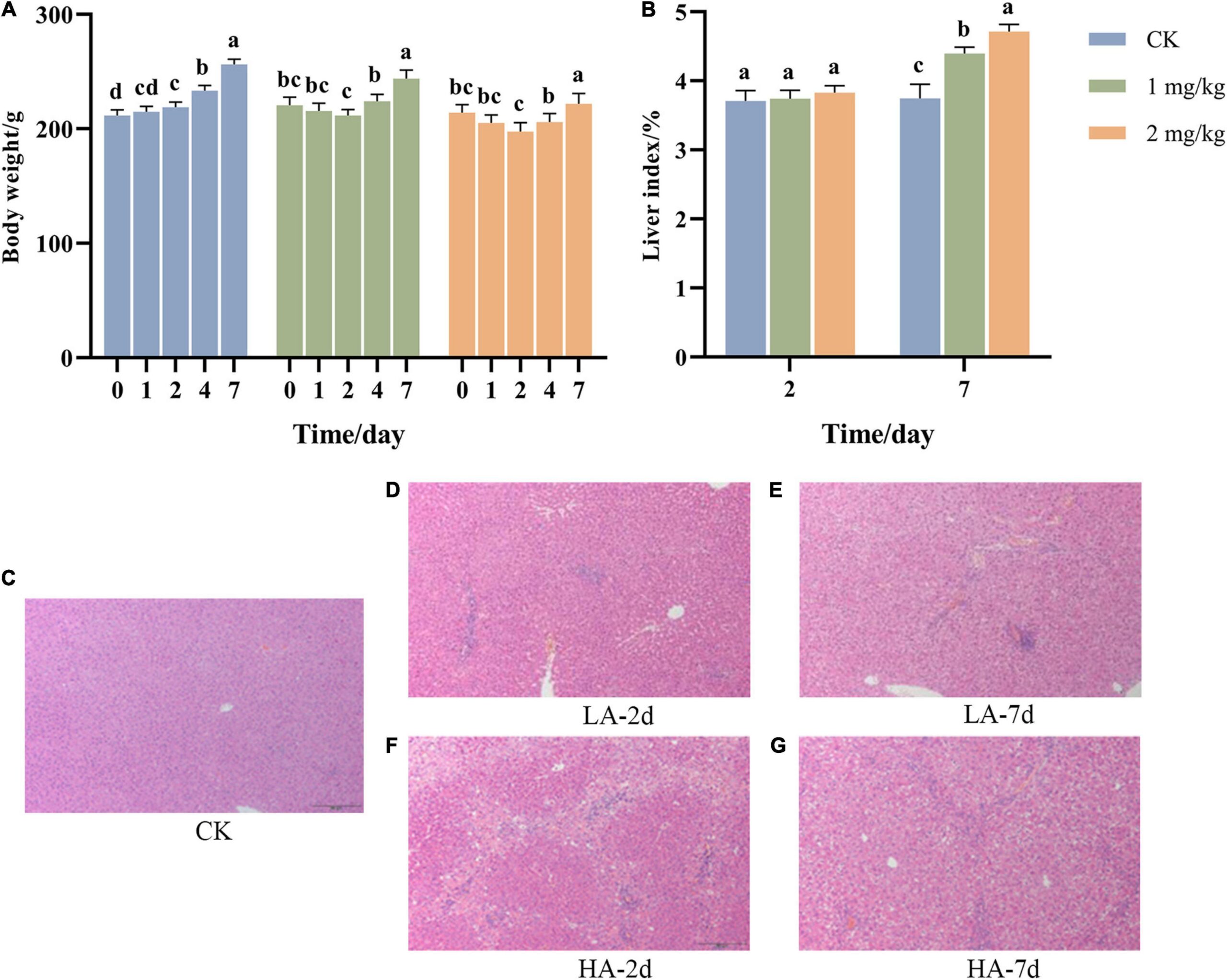 Frontiers New Insights Into The Persistent Effects Of Acute Exposure To AFB1 On Rat Liver