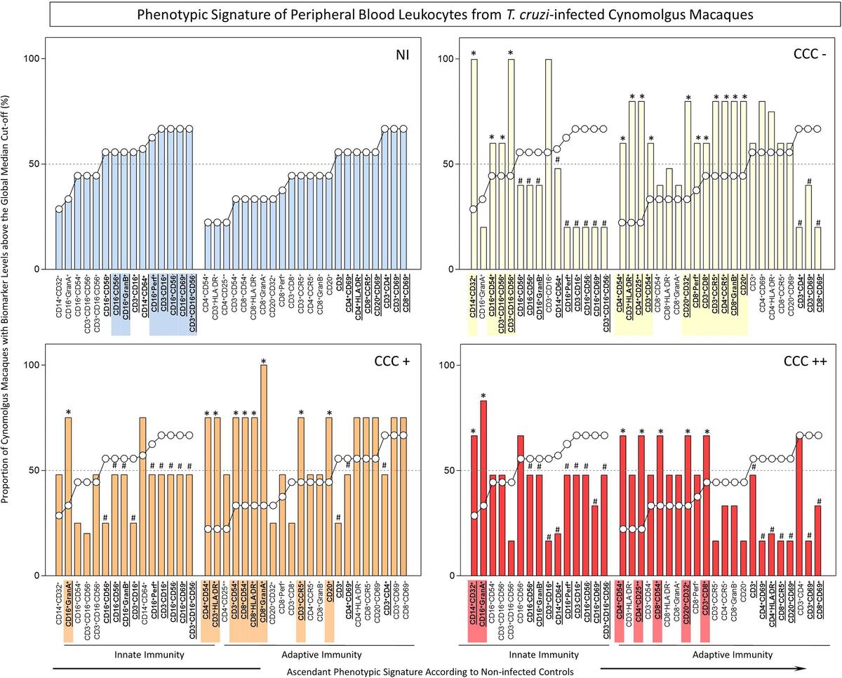 Frontiers Phenotypic And Functional Signatures Of Peripheral Blood And Spleen Compartments Of Cynomolgus Macaques Infected With T Cruzi Associations With Cardiac Histopathological Characteristics