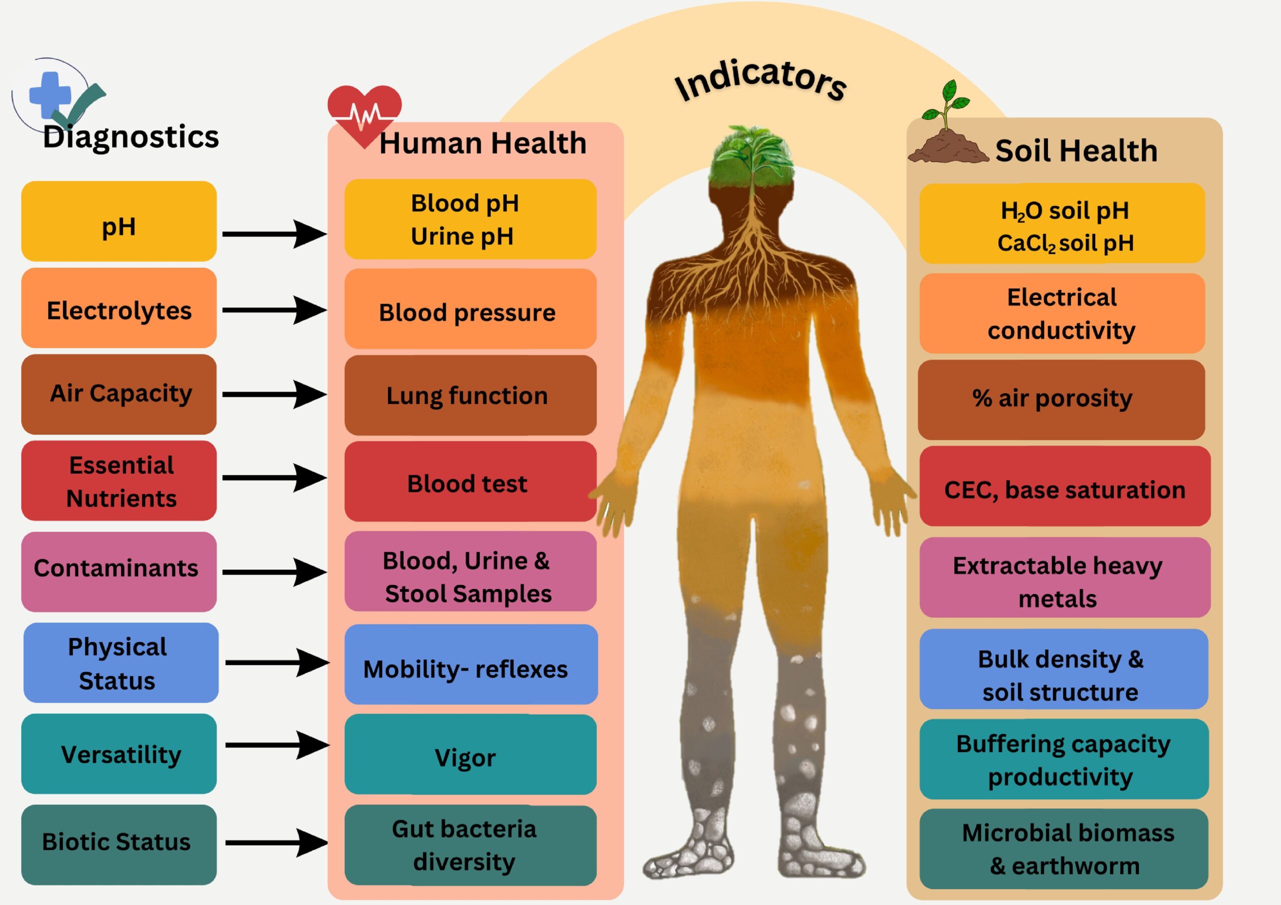 Frontiers Soil Health A Perspective
