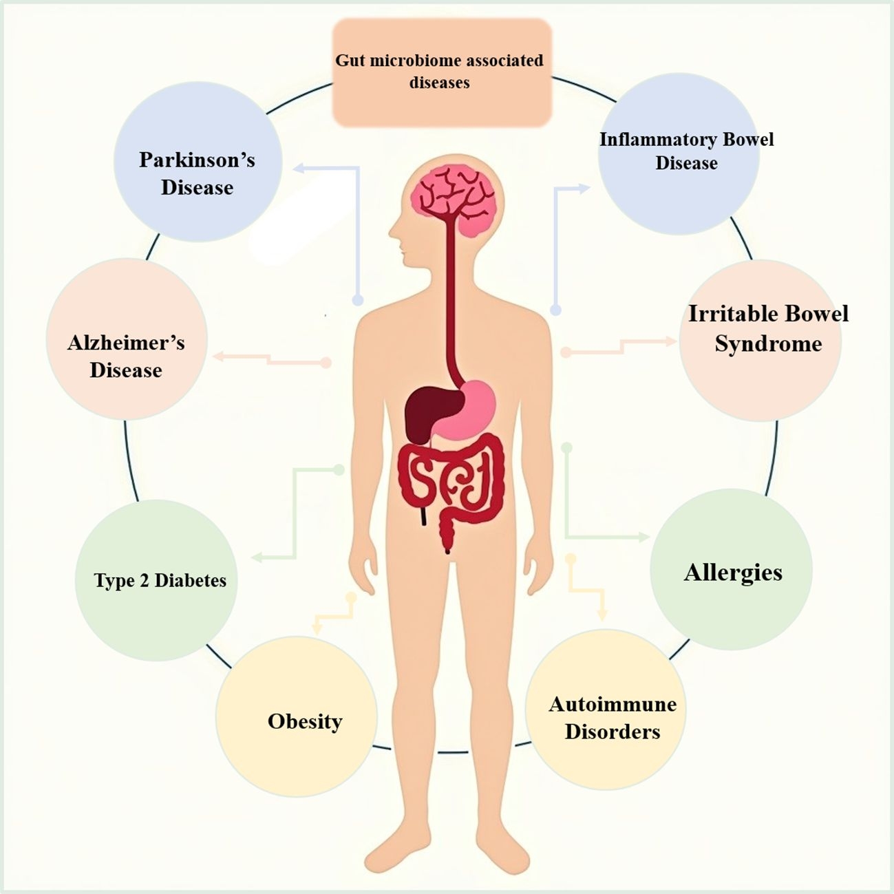 Frontiers The Relationship Between Gut Microbiome And Human Diseases Mechanisms Predisposing Factors And Potential Intervention