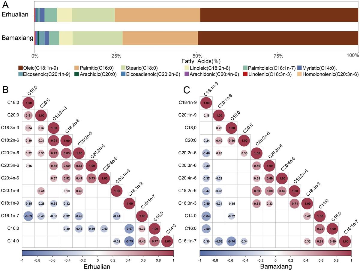 Frontiers Uncovering The Heterogeneity Of The Gut Microbial Taxa Associated With The Contents Of Different Fatty Acids In Muscle With Cecum Luminal Content And Fecal Samples From Two Pig Populations