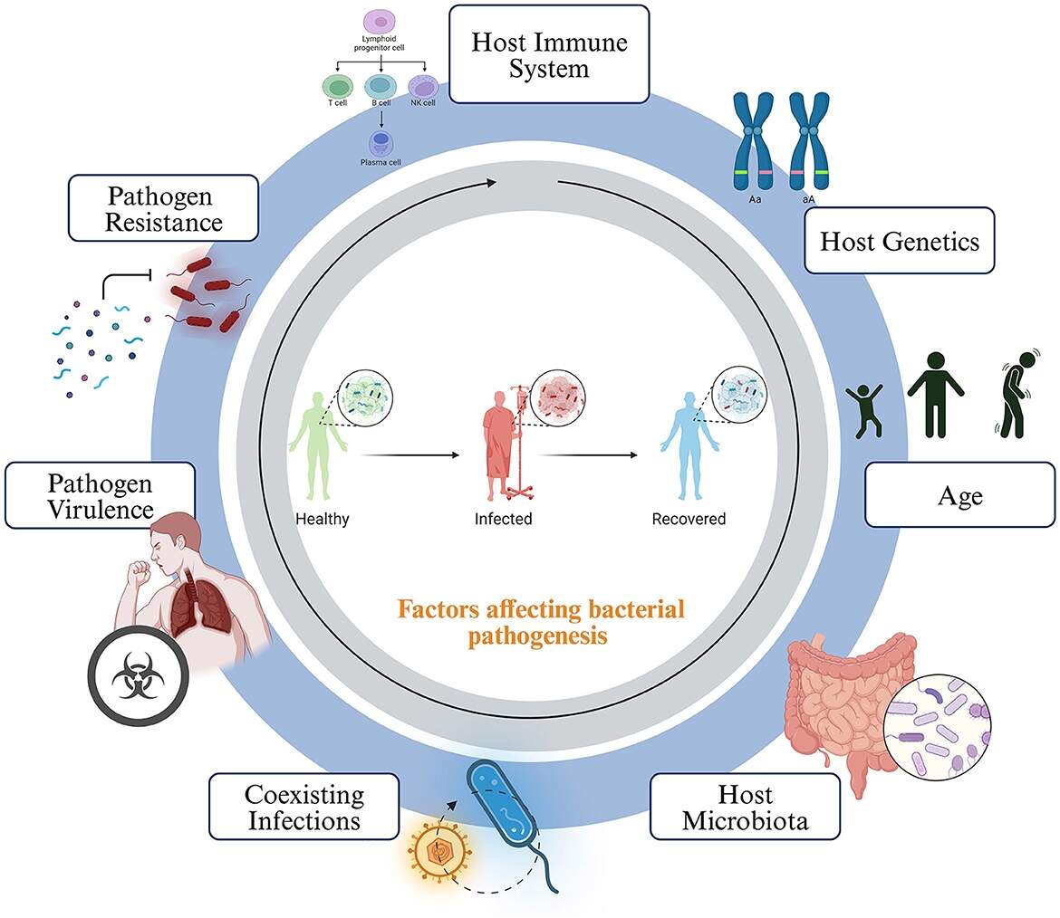 Bacterial Origins Of Human Cell Autonomous Innate Immune Mechanisms Nature Reviews Immunology