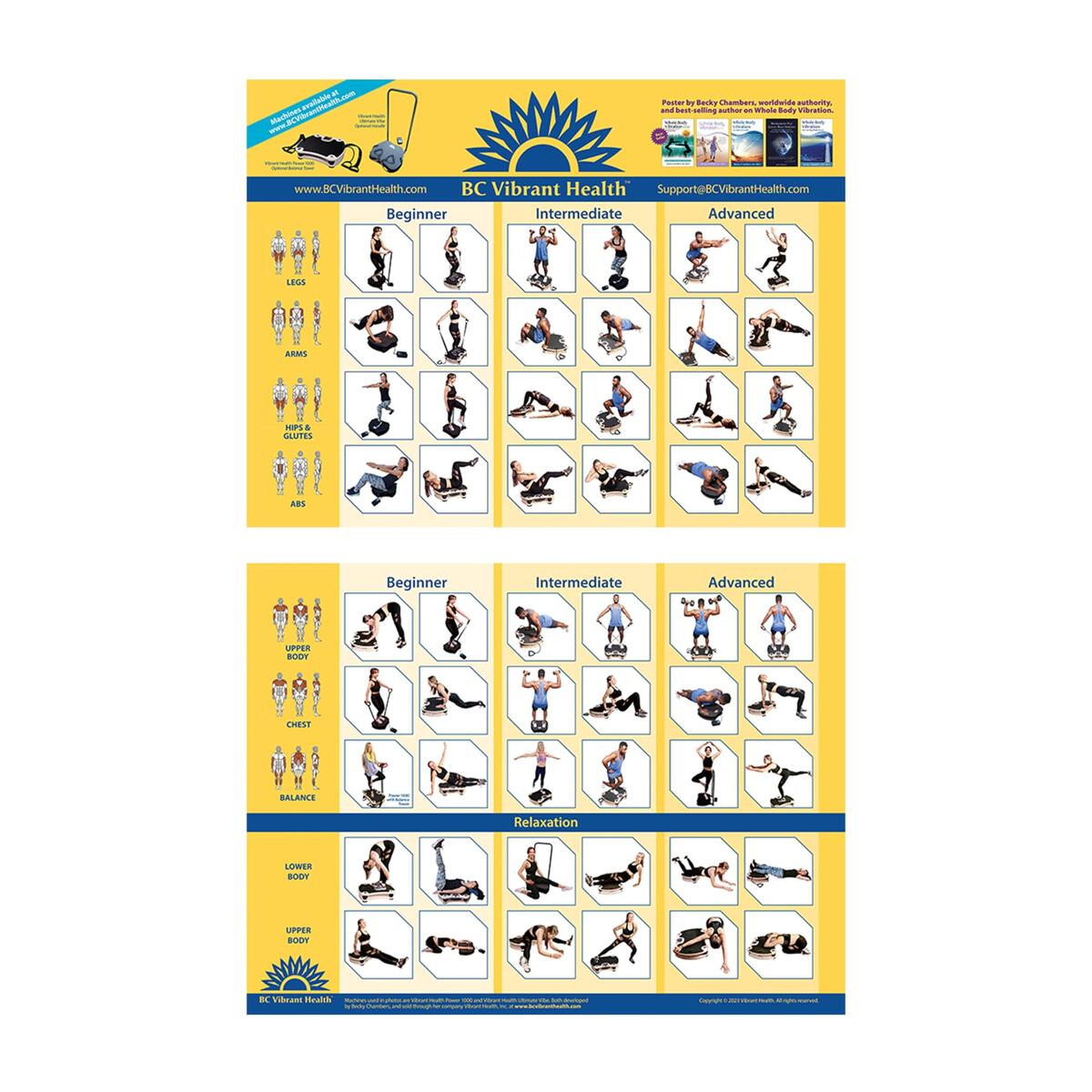 Full Body Vibration Poster Whole Body Vibration Plate Exercise Chart Workout Poster For Vibration Plate Exercise Machine Amazon Sg Sporting Goods