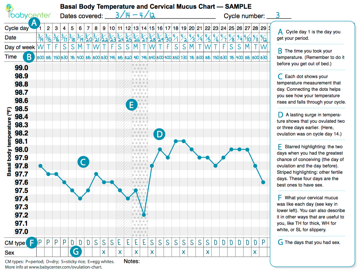 How To Use A BBT Chart To Help You Fall Pregnant Point Specifics