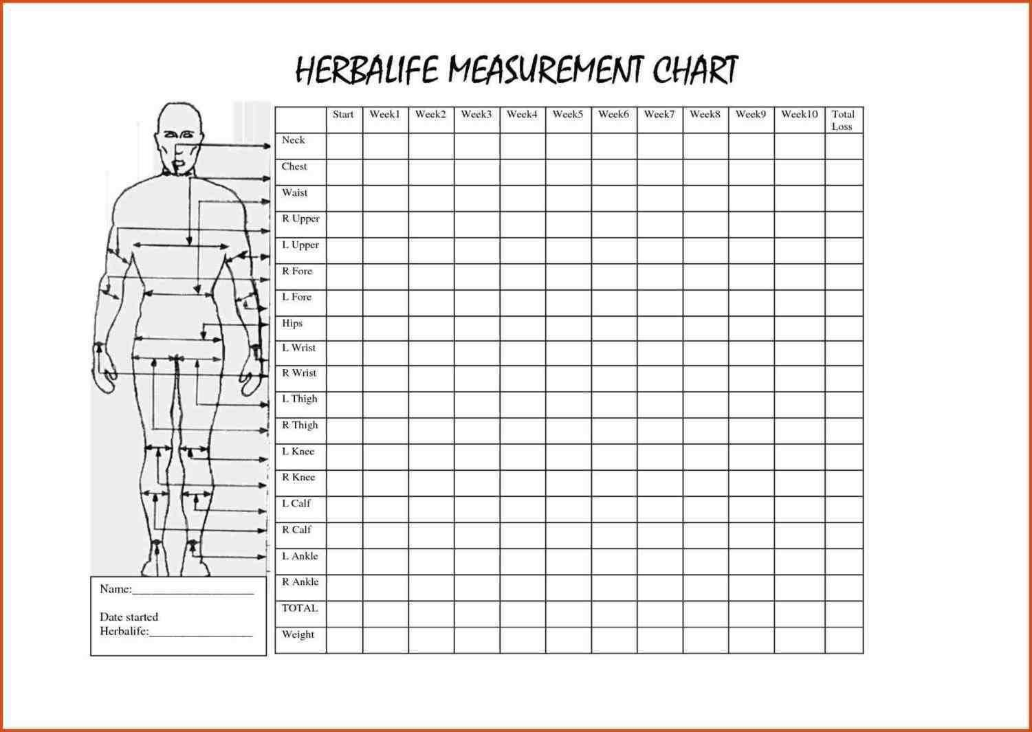 Girl Stay On Track And Lose That Weight Pages With Body Measurements Tracking Your Pounds Reward