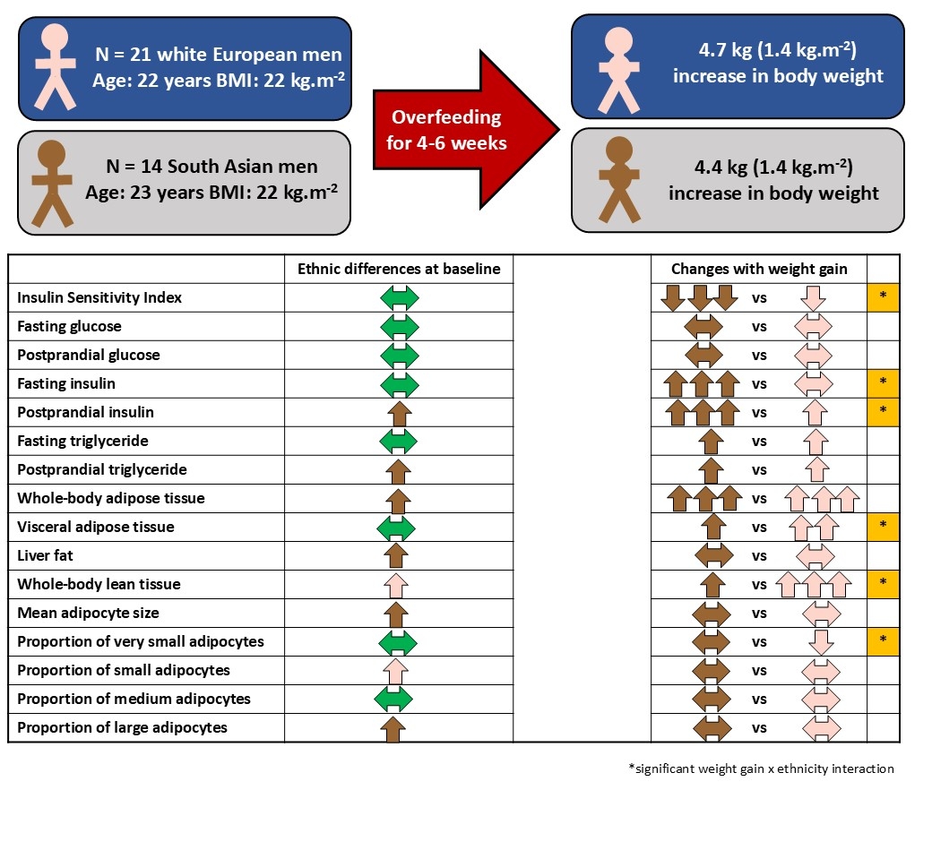 Greater Adverse Consequences Of Weight Gain In South Asian Compared With White European Men Findings From The GlasVEGAS Study Research Communities By Springer Nature