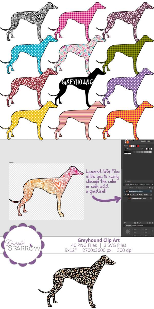 Greyhound Clip Art Collection 3 SVG And 40 PNG Files