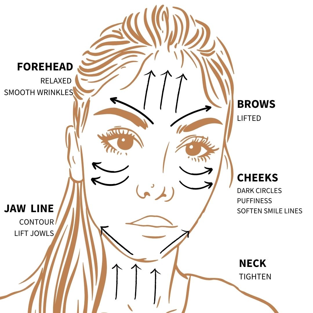 Gua Sha Facial Chart Gua Sha Facial Step By Step How To Acurea USA