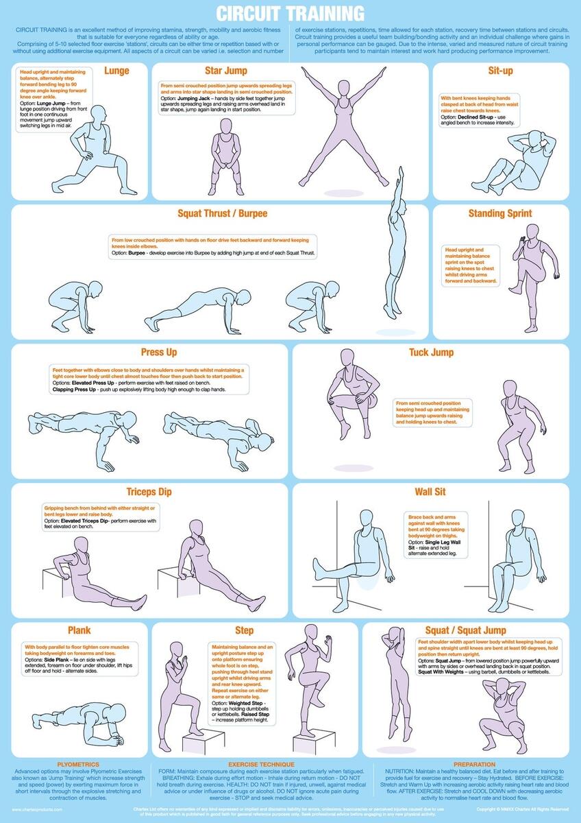 Gym Body Solid Exercise Chart Body Solid G1S Selectorized Home Gym Gym Body Solid Exercise Chart Body Solid G1S Selectorized Home Gym