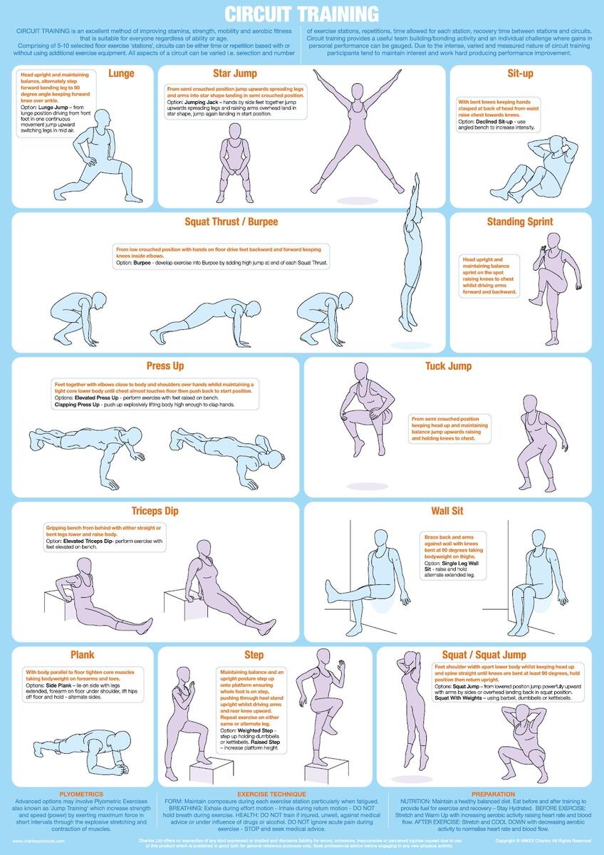 HOT Body Solid G1s Exercise Chart Body Solid G1S Selectorized Personal Trainer Fitness Superstore