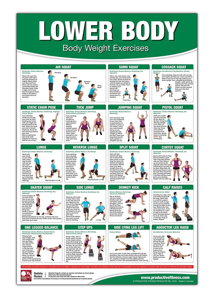 Gym Bodyweight Lower Body Workout Bodyweight Training Poster Chart Lower Body Body Weight Gym Bodyweight Lower Body Workout Bodyweight Training Poster Chart Lower Body Body Weight