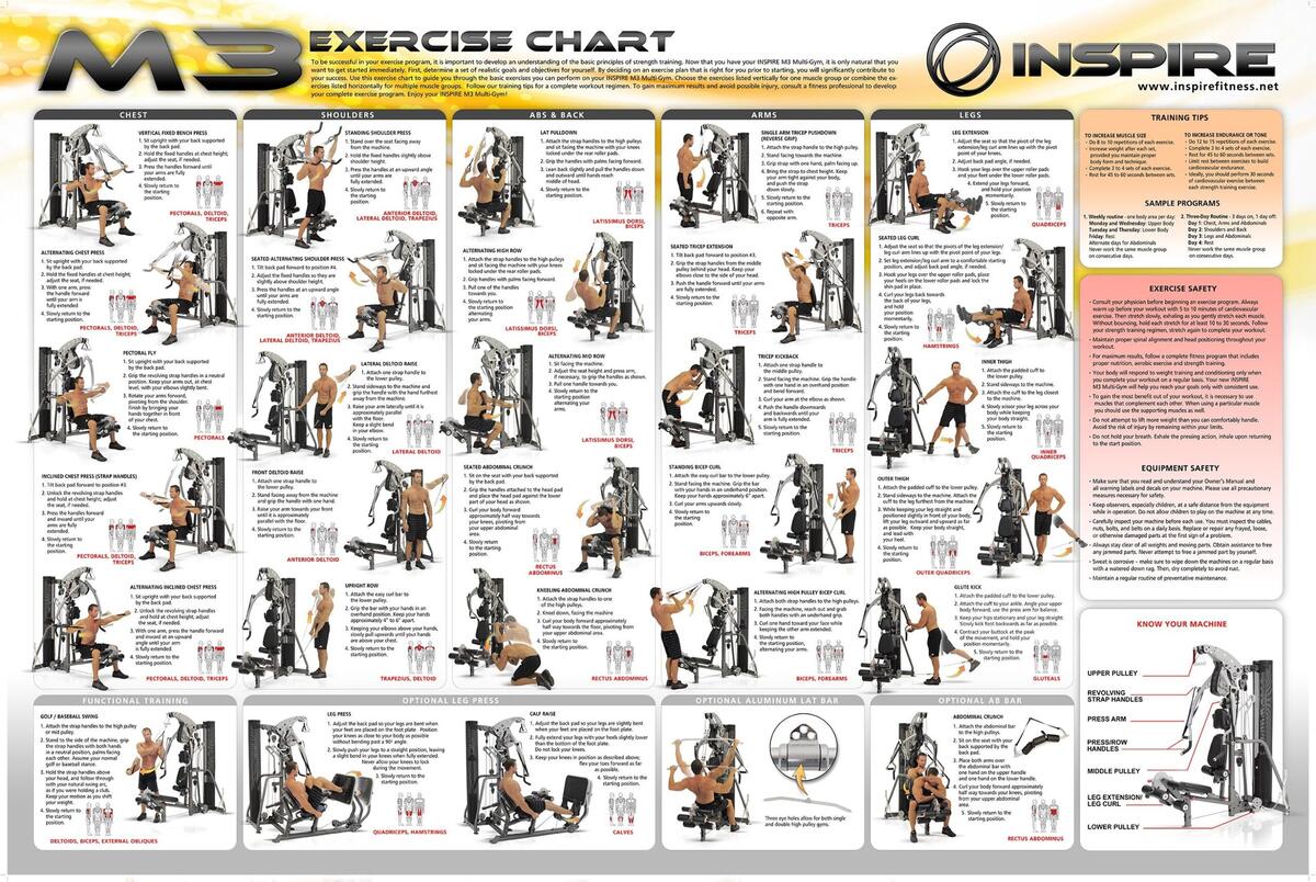 Gym Equipment Exercise Schedule Chart At Home Home Gym Workout Plan For Beginners Gym Exercises For Beginners Gym Equipment Exercise Schedule Chart At Home Home Gym Workout Plan For Beginners Gym Exercises For Beginners